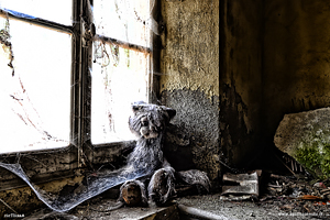 Cane di peluche davanti alla finestra