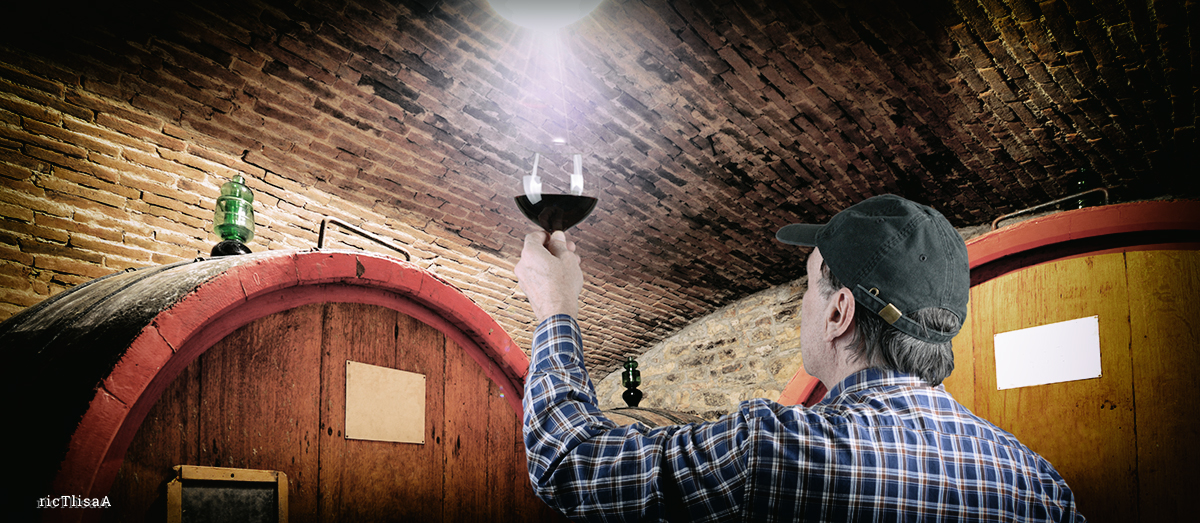 Sommelier assaggiatore di vino
