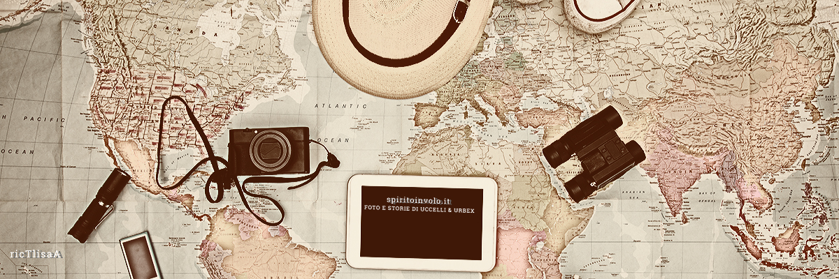 Immagine per lasciare un commento