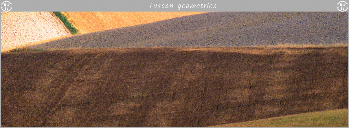Fields in Tuscany