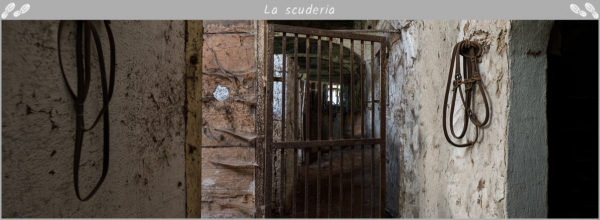 Urbex to the abandoned stable