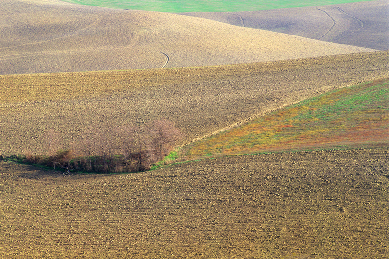 Campi in autunno nella campagna Toscana