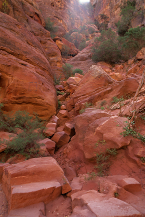 Sentiero a Petra in Giordania
