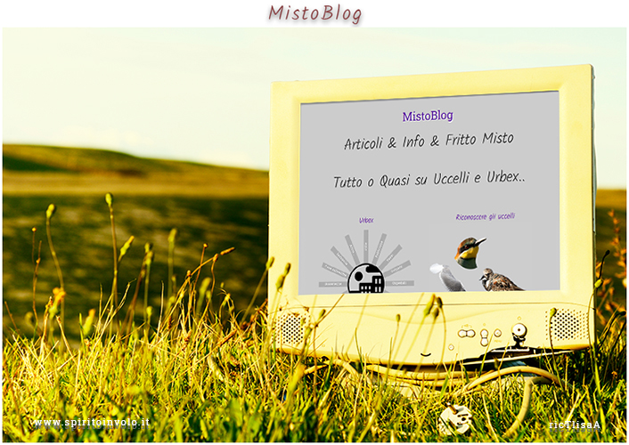 Giovane donna legge il blog sorseggiando un caffè