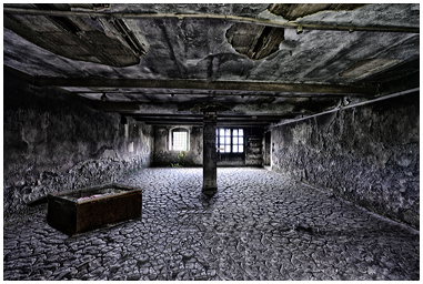 Vecchio baule nella cascina dell'antiquario