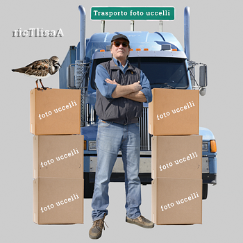 Vignetta per selezionare le fotografie