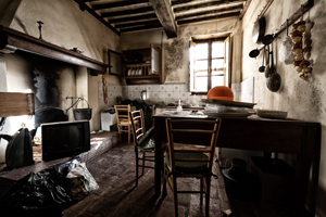 Cucina con camino nella casa nel bosco