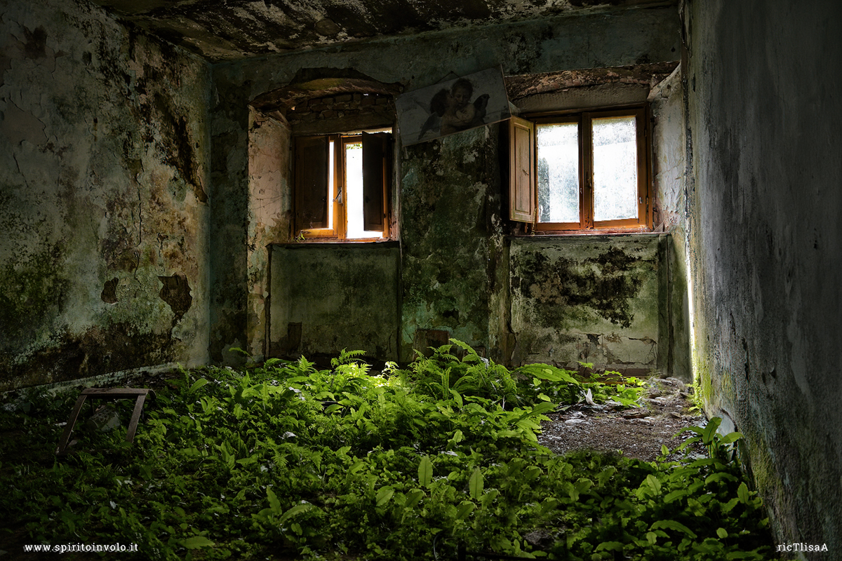 Fotografia di una stanza ricoperta di erba nella Casa Selvatica