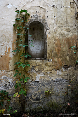 Foto della chiesa di Rigosa di Roccabianca