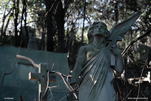 Statua di un angelo nel cimitero della castagna