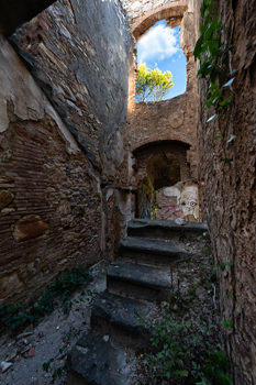 Scale nella villa del polacco 