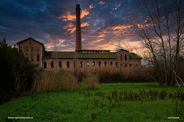 Photo of The Sugar factory